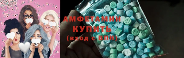 индика Баксан