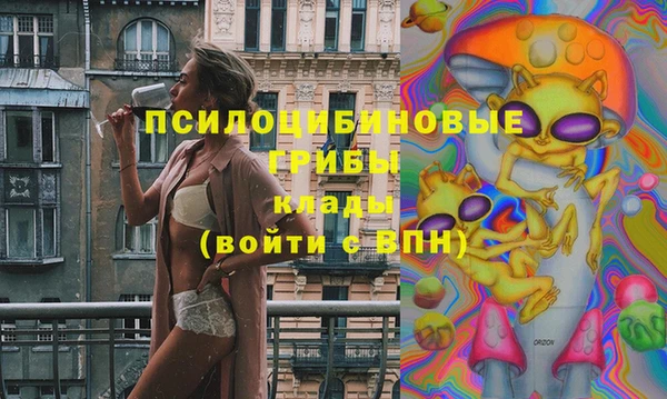 2c-b Белоозёрский