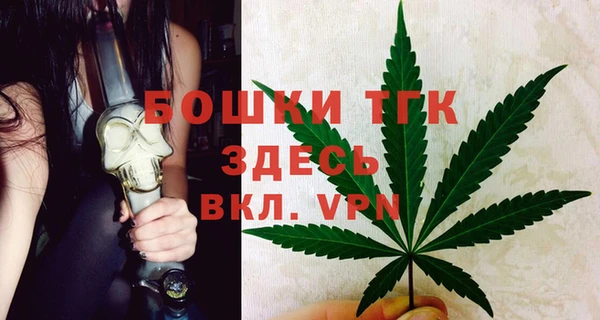 индика Баксан